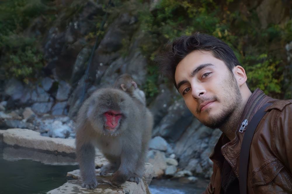 Photo d'Ichiban Japan avec un singe des montagnes