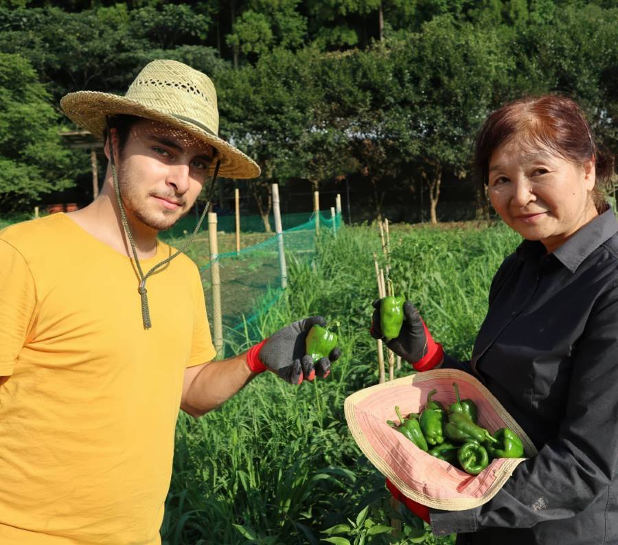 Photo d'Ichiban Japan avec un dame agée à la campagne (ils ont ceuillit des poivrons)